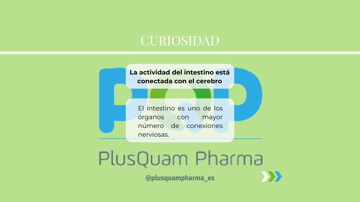 PlusQuamPharma's tweet photo. ¿Conocías el eje intestino-cerebro? Aquí te explicamos un poco sobre él 🤔
.
.
.
#intestino #cerebro #microbiota #salud #plusquampharma #pqp https://t.co/3o0QQXUma3