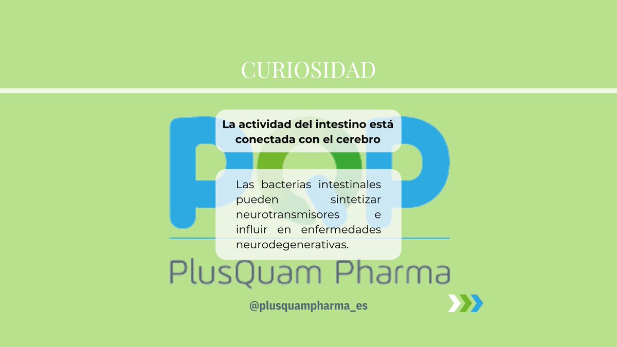 PlusQuamPharma's tweet photo. ¿Conocías el eje intestino-cerebro? Aquí te explicamos un poco sobre él 🤔
.
.
.
#intestino #cerebro #microbiota #salud #plusquampharma #pqp https://t.co/3o0QQXUma3