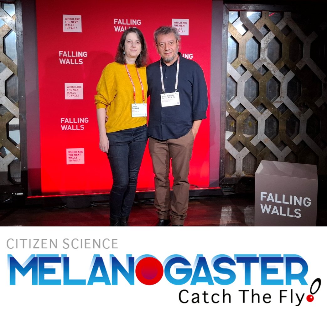 Institut Botànic de Barcelona (@ibb_botanic) on Twitter photo 🏆Big news! "Melanogaster: Catch The Fly!" #CitizenScience project is now a #FallingWalls2024 Science Breakthrough winner
Congratulations to <a href="/GonzalezLab_BCN/">Dr. Josefa González</a> and to the <a href="/LCATMon/">LaCiènciaAlTeuMón</a> team! 🏆Big news! "Melanogaster: Catch The Fly!" #CitizenScience project is now a #FallingWalls2024 Science Breakthrough winner
Congratulations to <a href="/GonzalezLab_BCN/">Dr. Josefa González</a> and to the <a href="/LCATMon/">LaCiènciaAlTeuMón</a> team!