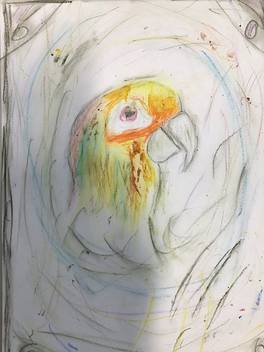 NerrolsOak (@nerrolsoak) on Twitter photo 