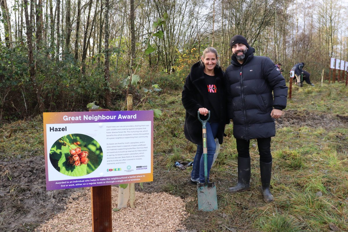 The National Forest tweet media