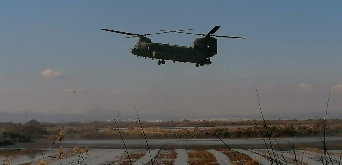 Servici Devesa-Albufera (@devesaalbufera) on Twitter photo 🚁 Retirada del lago de un vehículo.
El Servicio <a href="/DevesaAlbufera/">Servici Devesa-Albufera</a> del @ajuntamentvlc agradece a la #FuerzasArmadas y a la #UME su labor en el dispositivo de emergencia en el entorno de la #AlbuferadeValencia 🚁 Retirada del lago de un vehículo.
El Servicio <a href="/DevesaAlbufera/">Servici Devesa-Albufera</a> del @ajuntamentvlc agradece a la #FuerzasArmadas y a la #UME su labor en el dispositivo de emergencia en el entorno de la #AlbuferadeValencia