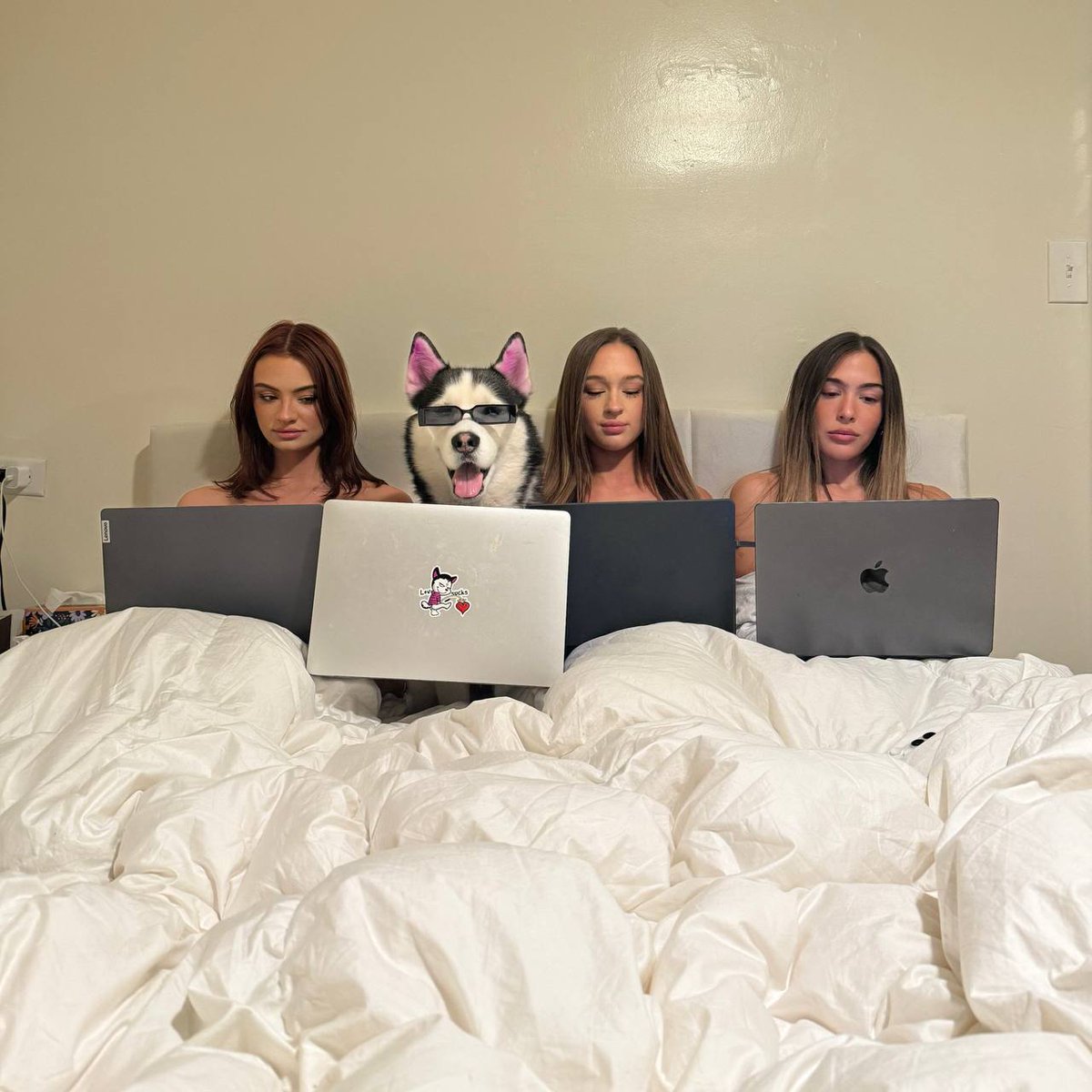 druvcy's tweet image. GM from the best dog in town!

Ape $SWAGGY and profits are coming!