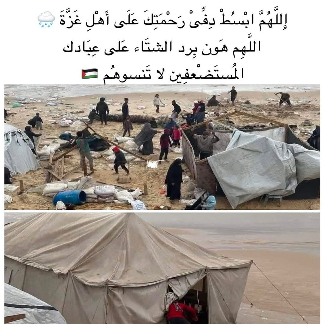 Mk_w12's tweet photo. امين يارب العالمين 🤲🏻❤️
 #غزة_الآن #وقف_اطلاق_النار https://t.co/leR2jEvNSY