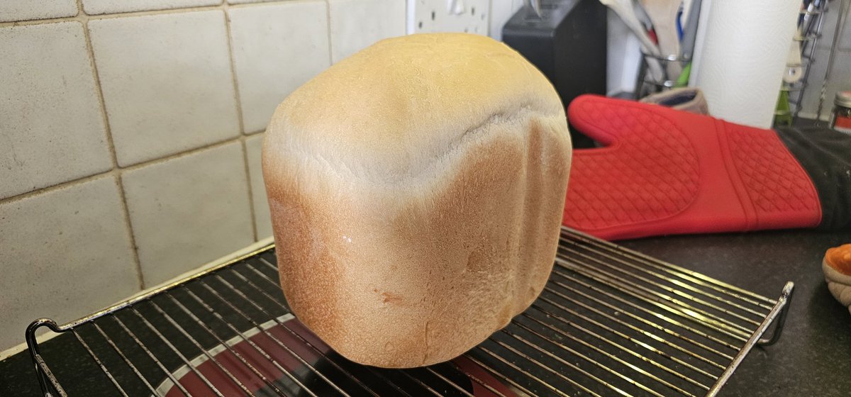 antobbo's tweet image. Got this #breadmaker from #trashNothing, first attempt, a very basic loaf and it looks all right.