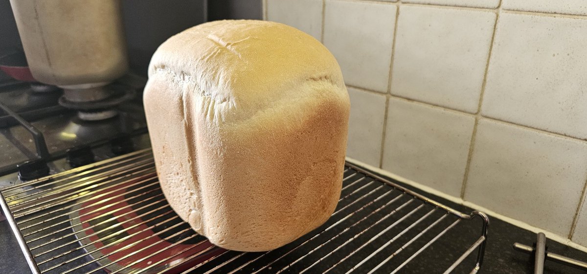 antobbo's tweet image. Got this #breadmaker from #trashNothing, first attempt, a very basic loaf and it looks all right.