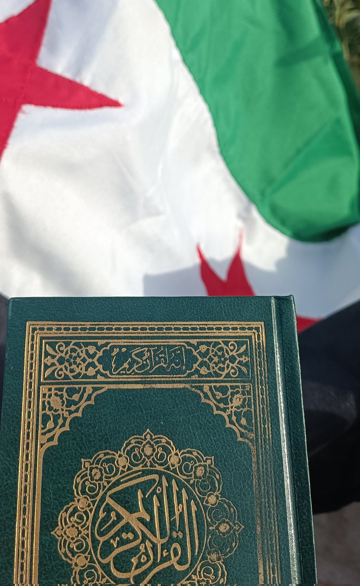 ☀︎سيرِّين tweet media