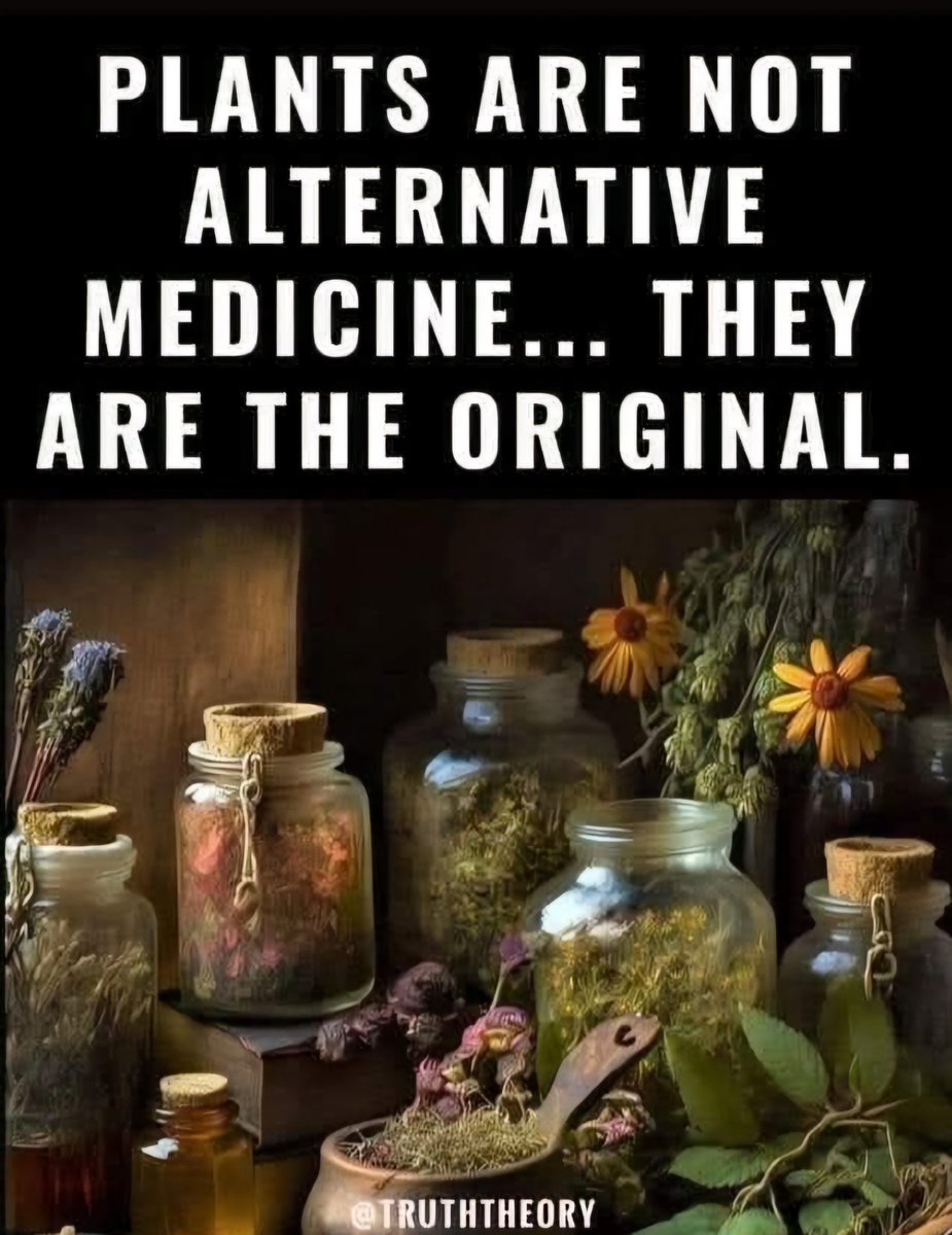 Sniper Of Truth (@sniper0ftruth) on Twitter photo 