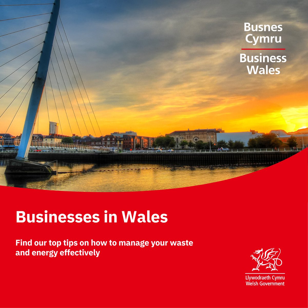 Is your business looking to reduce waste and save energy? 

Our resource efficiency guide can help you take steps to a greener future and cut costs at the same time.  

Find our top tips on how to manage your waste and energy effectively 🔗 ow.ly/cEiA50U4pkS