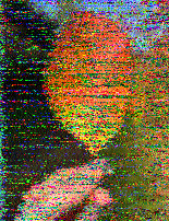 Al Holt | @RadioActiveAl.bsky.social tweet media