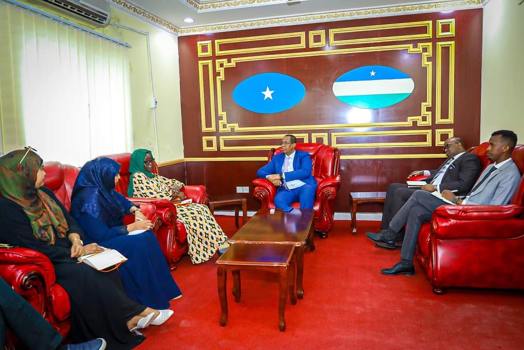 Puntland State House tweet media