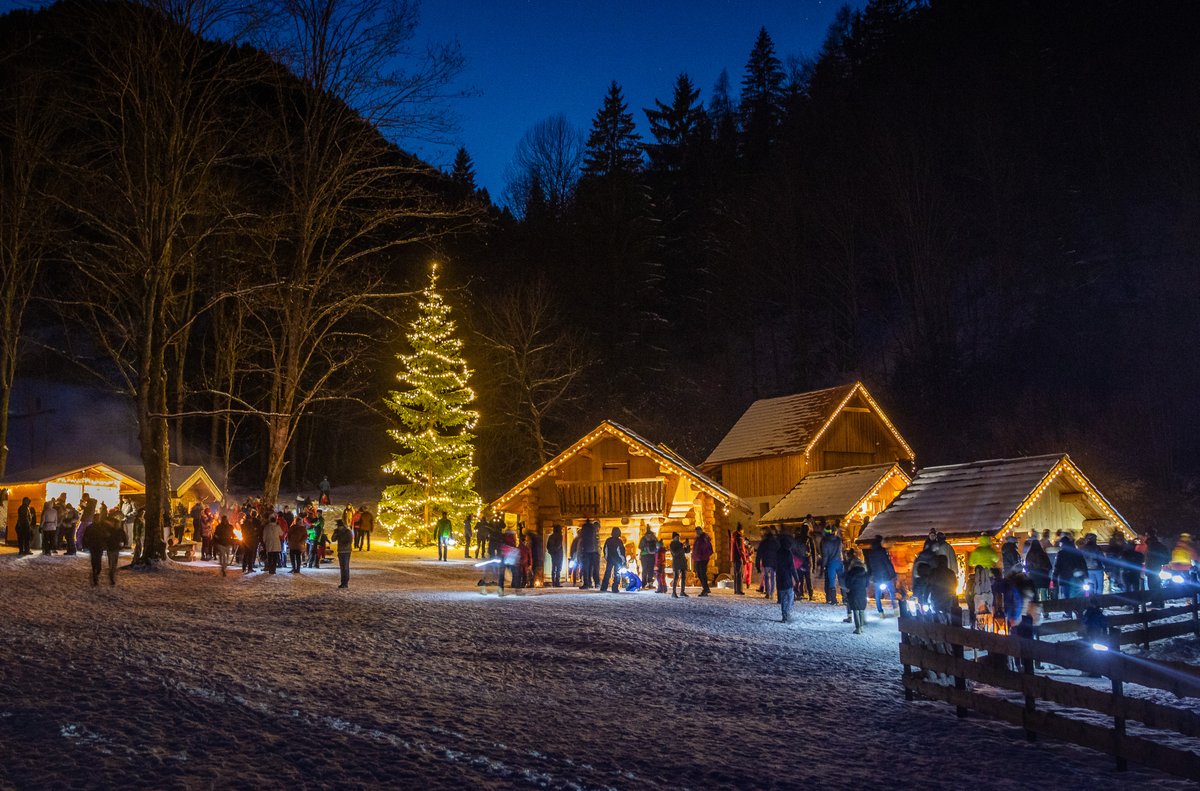 VisitFVG's tweet photo. 🎄 Scopri un Natale magico in Friuli Venezia Giulia con un itinerario natalizio unico per le famiglie! Dai monti al mare, ecco 5 eventi da non perdere:

🎁 Advent Pur nelle montagne innevate. 🎁 Sutrio, il paese Presepe. 🎁 Lignano Natale D’A…Mare. 🎁 Grado Nadal De l’Isola. 🎁 Natale nel Borgo di Polcenigo.

🌟 Oltre 90 eventi natalizi ti aspettano! 
🎄 Info e calendario 👉 https://t.co/e6V1jyXMW5

#IoSonoFVG #VisitFVG #NataleFVG