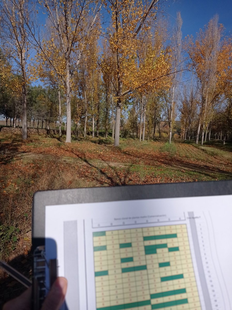 Elena Pérez tweet media