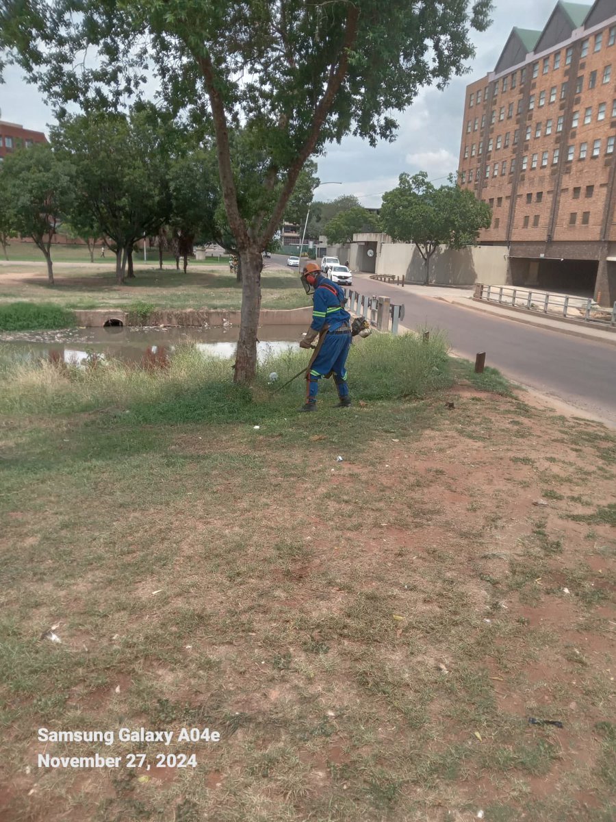 kholofeloMorodi's tweet photo. 🌿✨ Community Alert! ✨🌿
Grass cutting and park maintenance are happening in Region 4, Ward 64 & 78! Our dedicated teams are working hard to keep our green spaces beautiful and well-maintained. Thanks for your patience and support!
#Region4 #Ward64 #Ward78 @CityTshwane https://t.co/ODuq0SFfWX