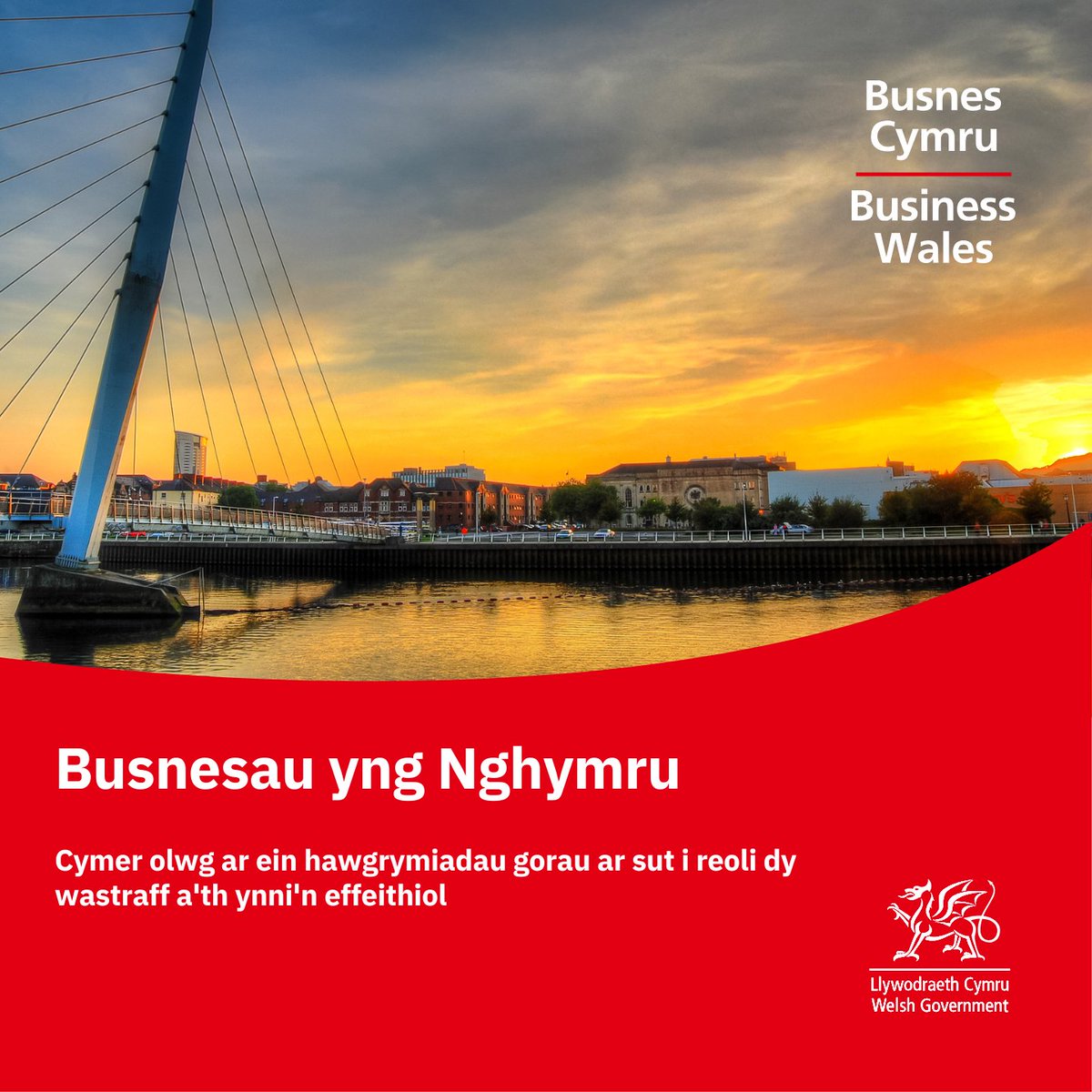Ydy dy fusnes yn ceisio lleihau gwastraff ac arbed ynni? 

Gall ein canllaw effeithlonrwydd adnoddau dy helpu i gymryd y camau hynny tuag at ddyfodol mwy gwyrdd, a lleihau costau ar yr un pryd. 

Cymer olwg ar ein hawgrymiadau gorau 🔗ow.ly/Oezh50U4u4B