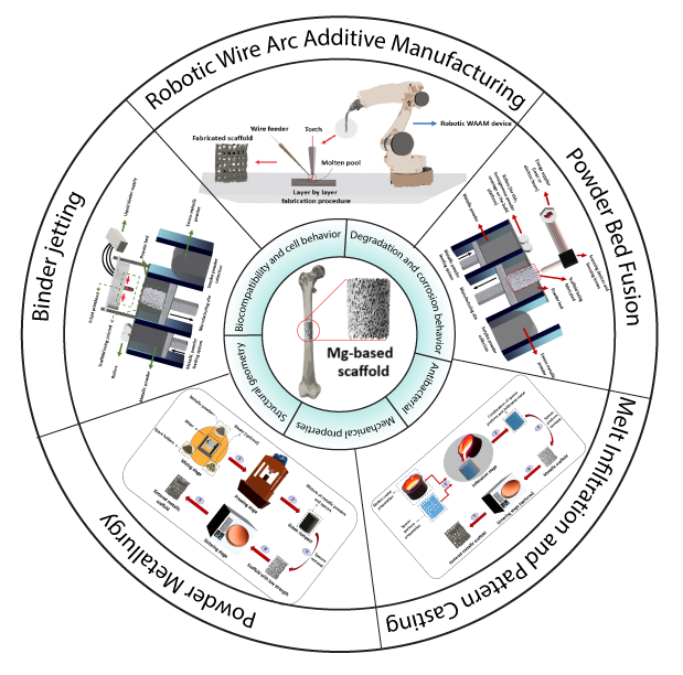 TBrezesinski's tweet photo. New Topical Review out in #MaterialsFutures | "Overview of porous magnesium-based scaffolds: Development, properties and biomedical applications" (Drelich, Bakhsheshi-Rad & coworkers @mtumse @michigantech #IslamicAzadUniversity) ➡️ https://t.co/JjEr4Hap7w.
@IOPPublishing @OA https://t.co/Ltl10OsHOF