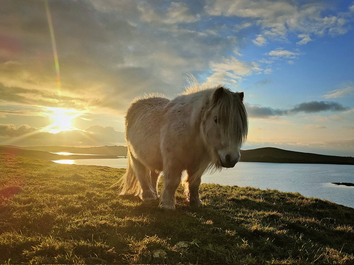 Catherine Munro tweet media