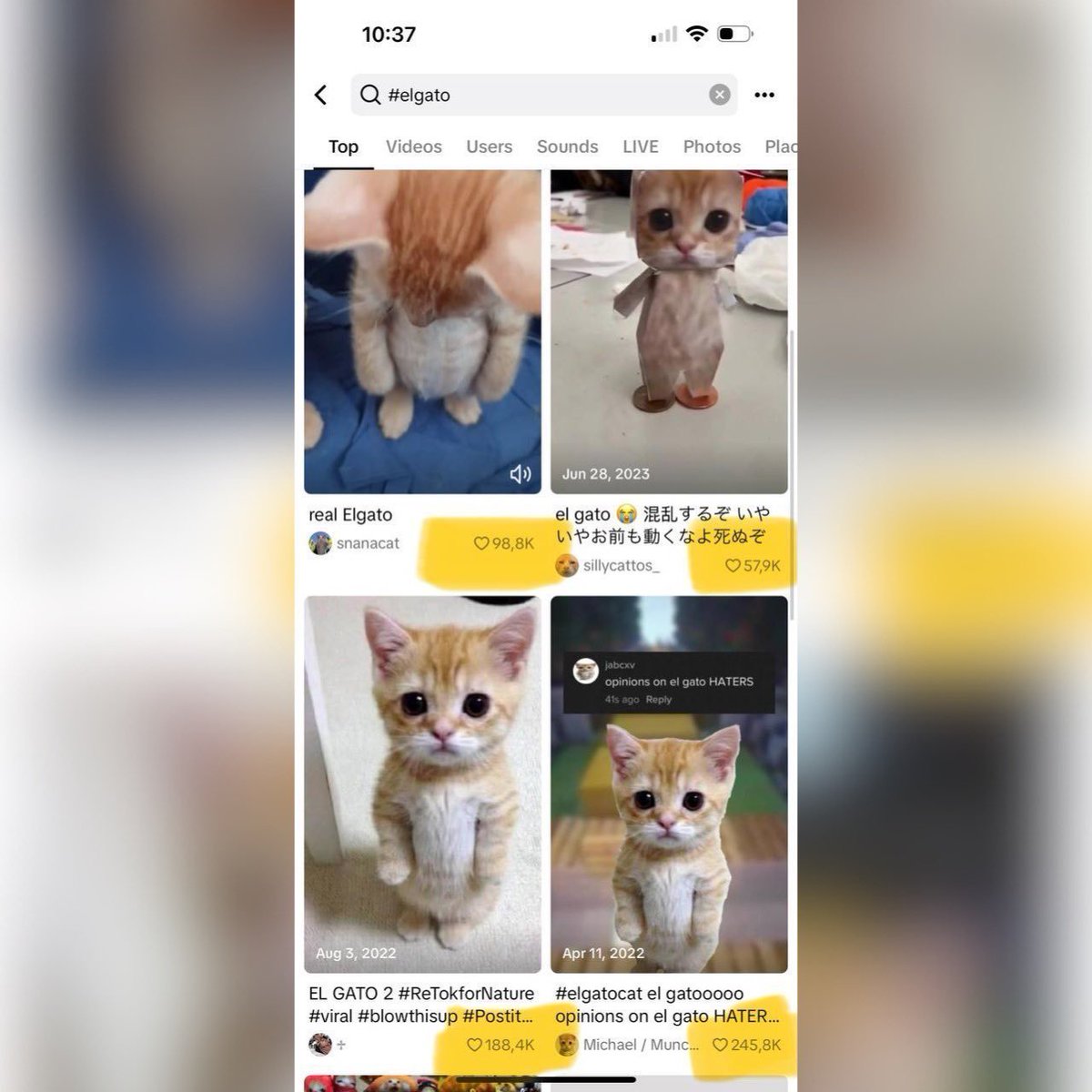 el gato (the standing cat) tweet media