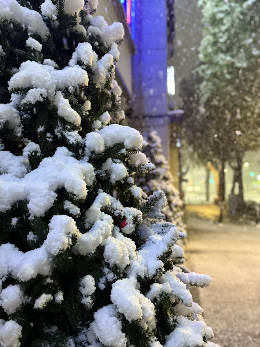 aepeul's tweet photo. 눈 내리는거 너무 좋아! 보고있어도 안질려! 
퐁퐁 내리는거 보고있음 행복해❄️ https://t.co/Tgccj8cEPj