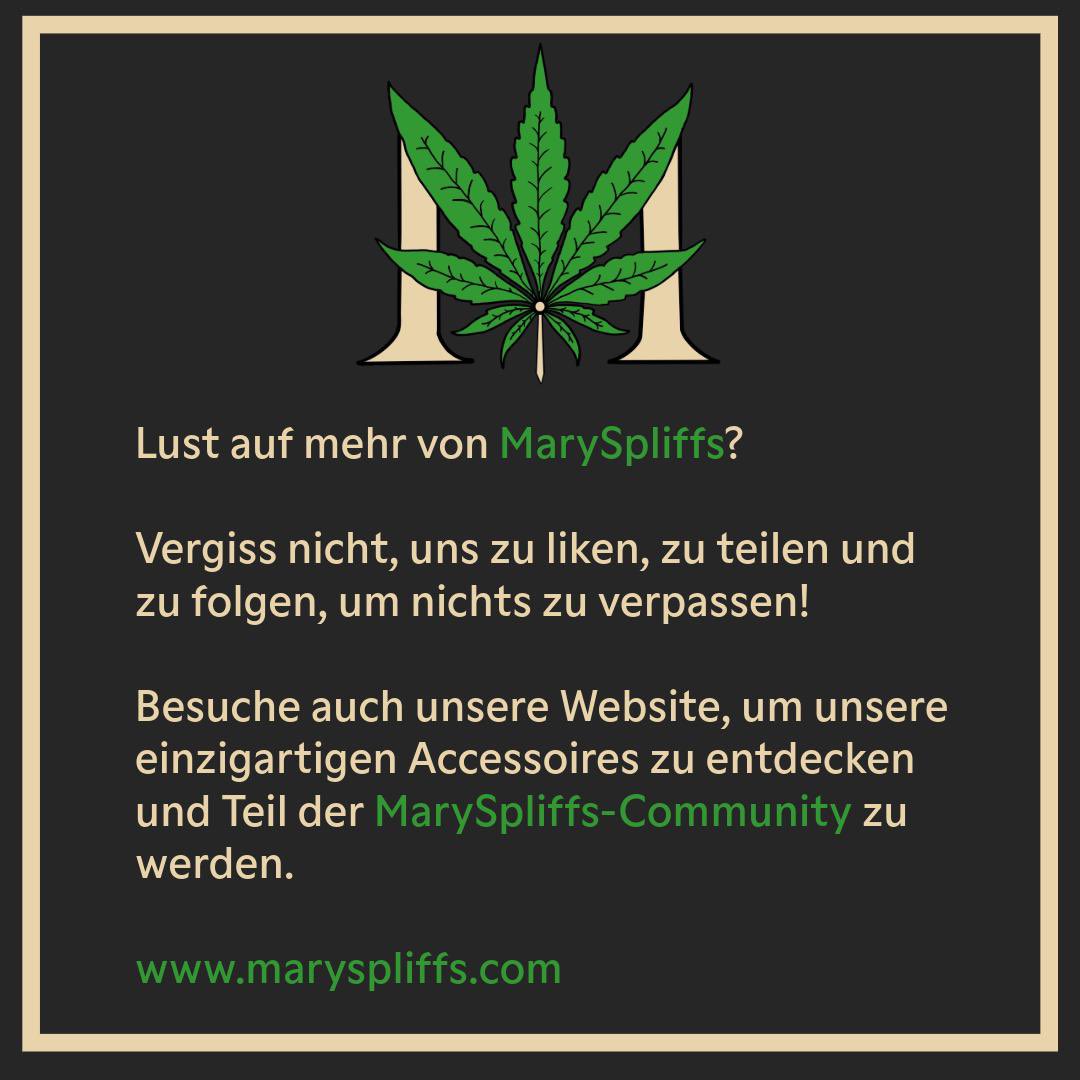 MarySpliffs tweet picture