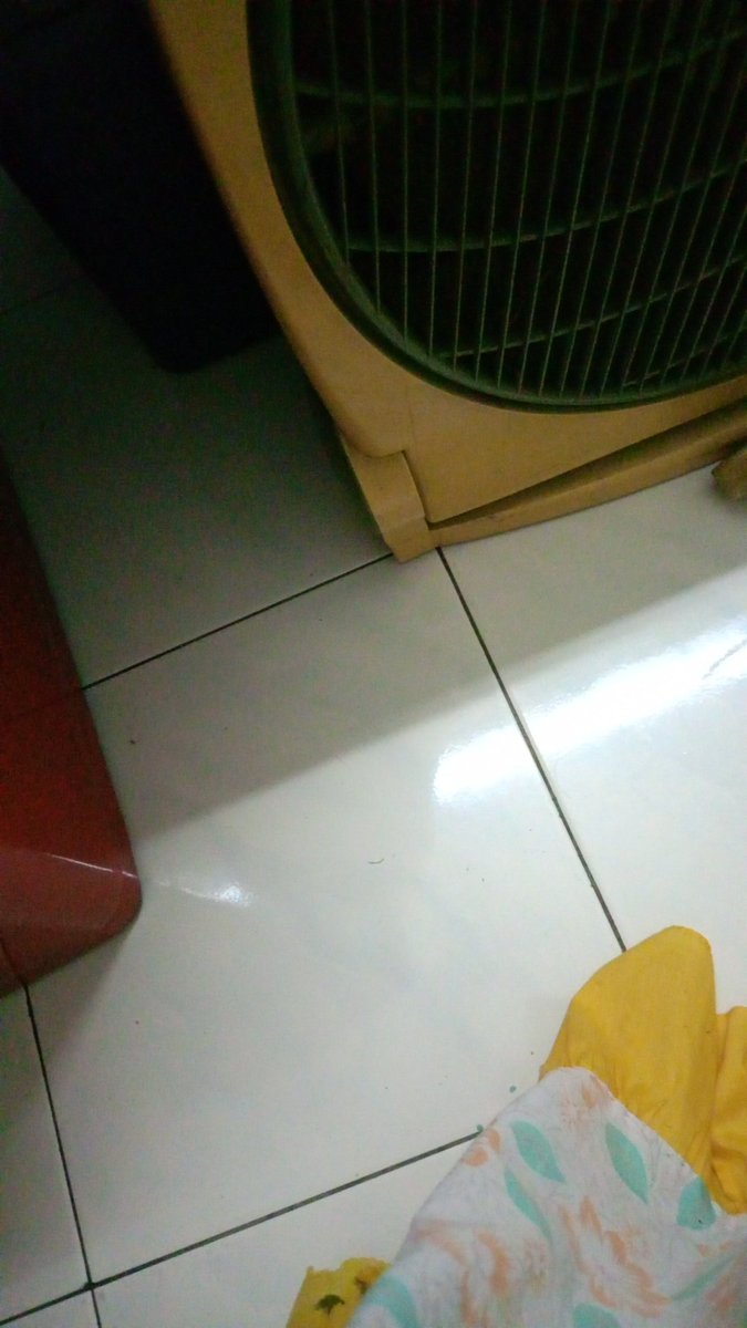 X Pkn (@xpkn211344) on Twitter photo 