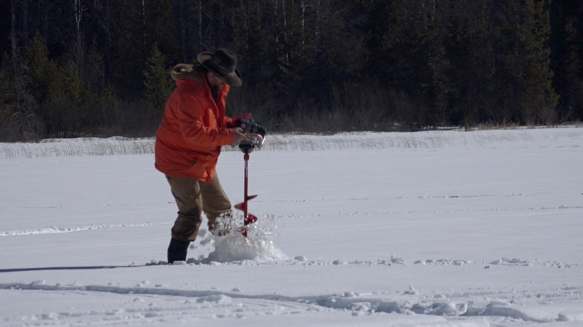 CascadeIdaho's tweet photo. 🎣❄️ Ice Fishing Season is Coming! ❄️🎣

Winter is just around the corner, and it's time to gear up for some chilly adventures on the ice! 🌨️✨ Don’t have all the gear you need? Stop by Tackle Tom’s in Cascade for advice or rentals! 🛠️

After fishing, head to downtown Cascade... https://t.co/x4BeIkobCE