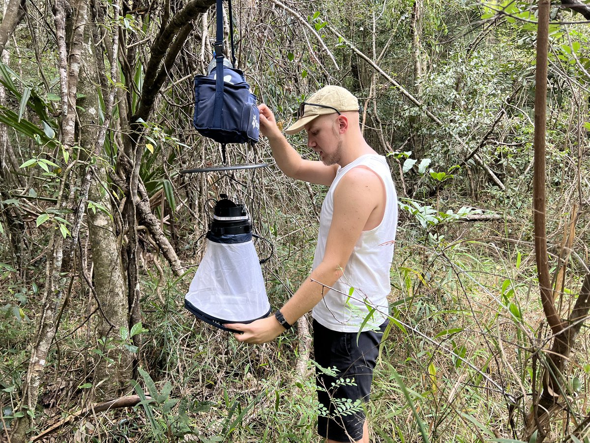 Frauke Ecke tweet media