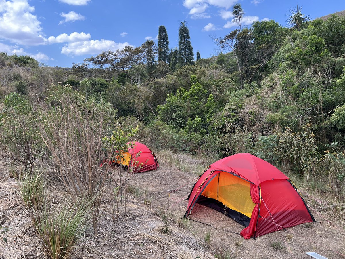 Frauke Ecke tweet media