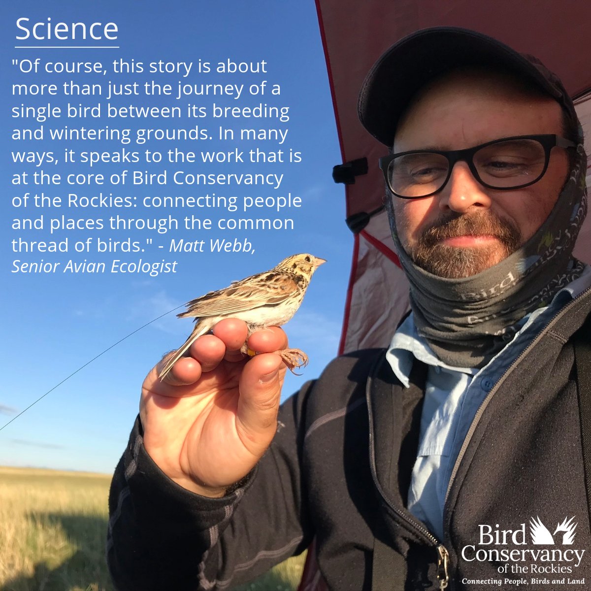 Bird Conservancy of the Rockies tweet media