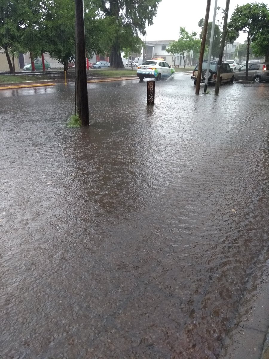 🔴 27/11/24 Centro de Avellaneda con cuatro gotas de lluvia... gestión Jorge Ferraresi (UP)...
Éstas son las cosas que pasan cuando se chorean la guita de los impuestos.