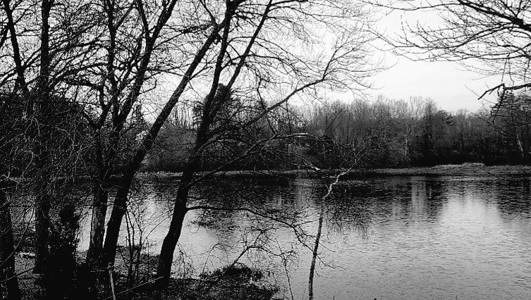 donna_mccance's tweet image. #ThePond was frozen for the first time this cold #fall2024 morning. And soon, it will be white! ❄️🌨☃️