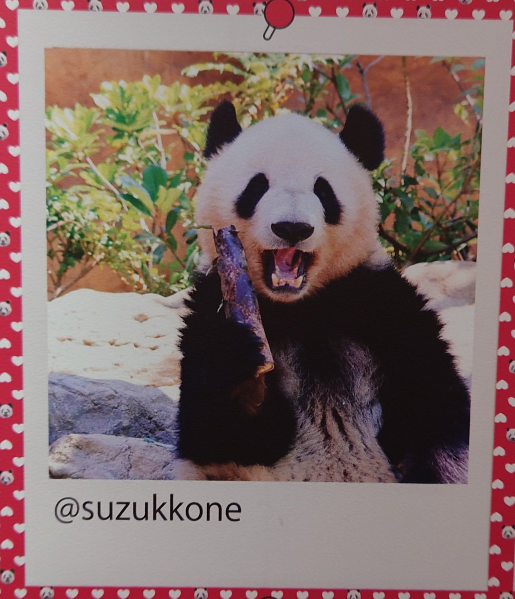 わーい❣️嬉しいです🤩🥰
ありがとうございます︎💕︎
 #松坂屋上野店みんなのパンダ写真展 
 #松坂屋上野店
 #みんなのパンダ写真展