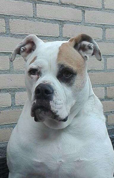 #Hummer 🌈💕 11-11-'20