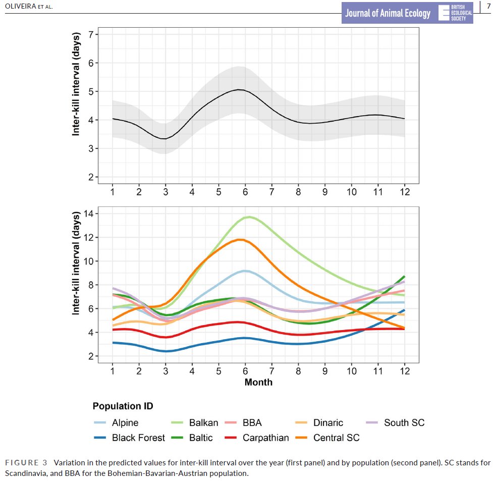 New paper on foraging parameters of Eurasian lynx at continental scale in relation to prey availability, scavenger presence &amp; human disturbance!🐾 Inter-kill intervals &amp; handling times varied between populations, social status and in different seasons. 🐱
doi.org/10.1111/1365-2…