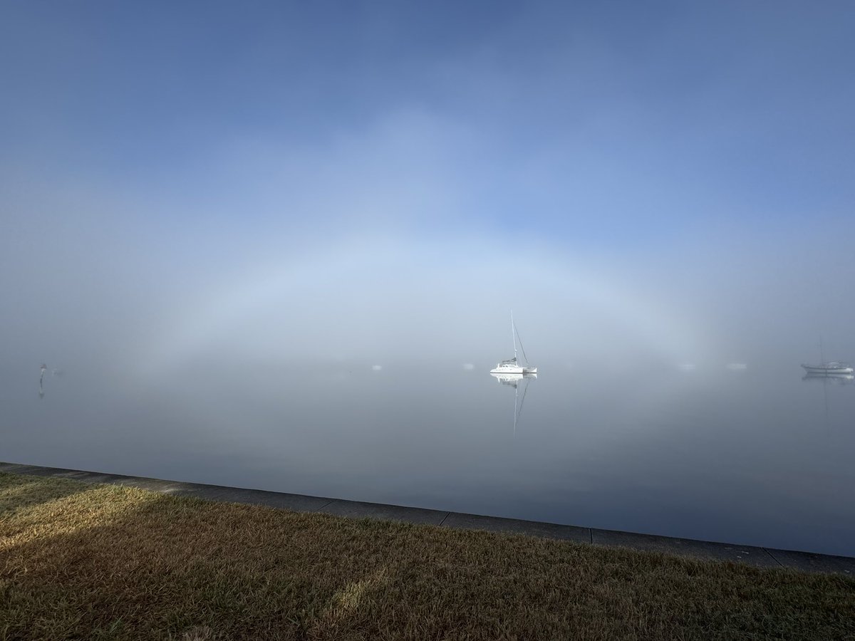 Rare Fogbow this morning! 👀 NW over Big Bayou fr Coqunia Key, St. Pete FL
#flwx <a href="/JimCantore/">Jim Cantore</a> <a href="/mikebettes/">Mike Bettes</a> <a href="/weatherchannel/">The Weather Channel</a> <a href="/NWSTampaBay/">NWS Tampa Bay</a> <a href="/bn9weather/">Spectrum Bay News 9 Weather</a> <a href="/WFLAMaxDefender/">Max Defender 8 Weather Team</a>  <a href="/10TampaBay/">10 Tampa Bay News</a> @abcactionnews <a href="/DenisPhillipsWx/">Denis Phillips</a> <a href="/tropicalupdate/">Mike's Weather Page</a> <a href="/WeatherNation/">WeatherNation</a> <a href="/JacquiJerasTV/">Jacqui Jeras</a> <a href="/accuweather/">AccuWeather</a> <a href="/WeatherProf/">Jeff Berardelli</a>