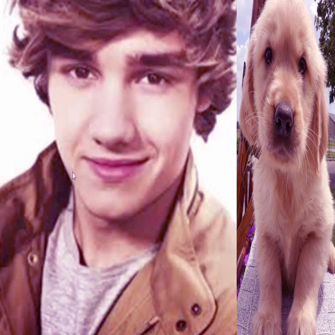 iwantursexpt2's tweet image. DO U GUYS LOVE THE,M #1direction plz follow me if u like 1d i have like no 1d oomfs