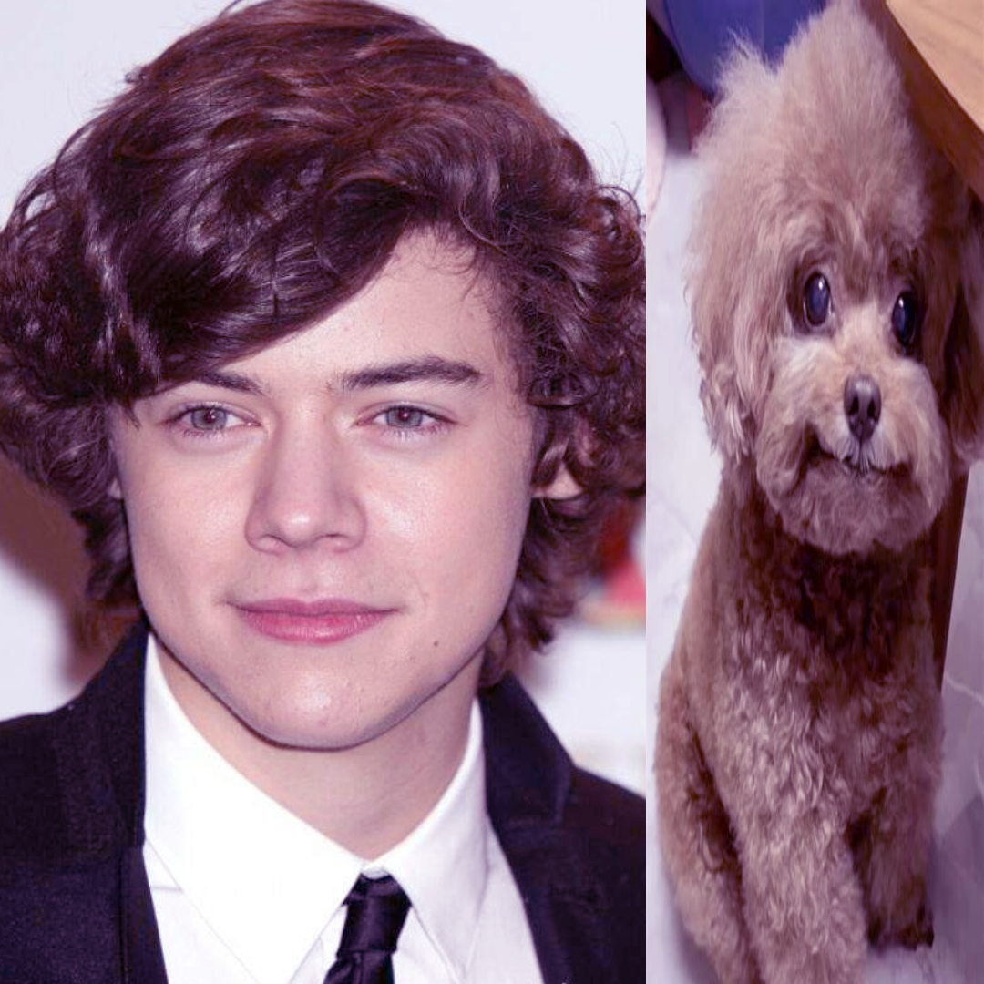 iwantursexpt2's tweet image. DO U GUYS LOVE THE,M #1direction plz follow me if u like 1d i have like no 1d oomfs