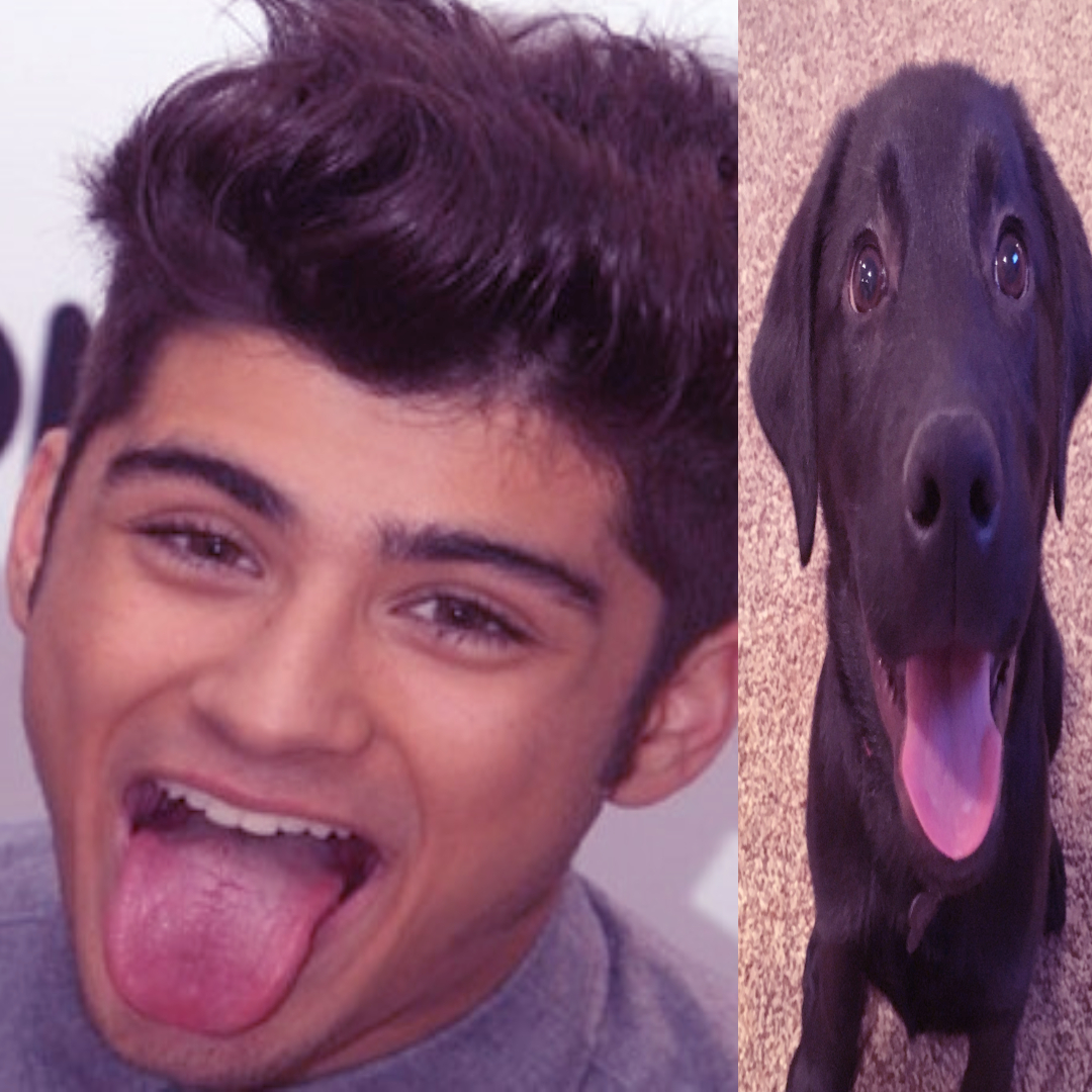 iwantursexpt2's tweet image. DO U GUYS LOVE THE,M #1direction plz follow me if u like 1d i have like no 1d oomfs