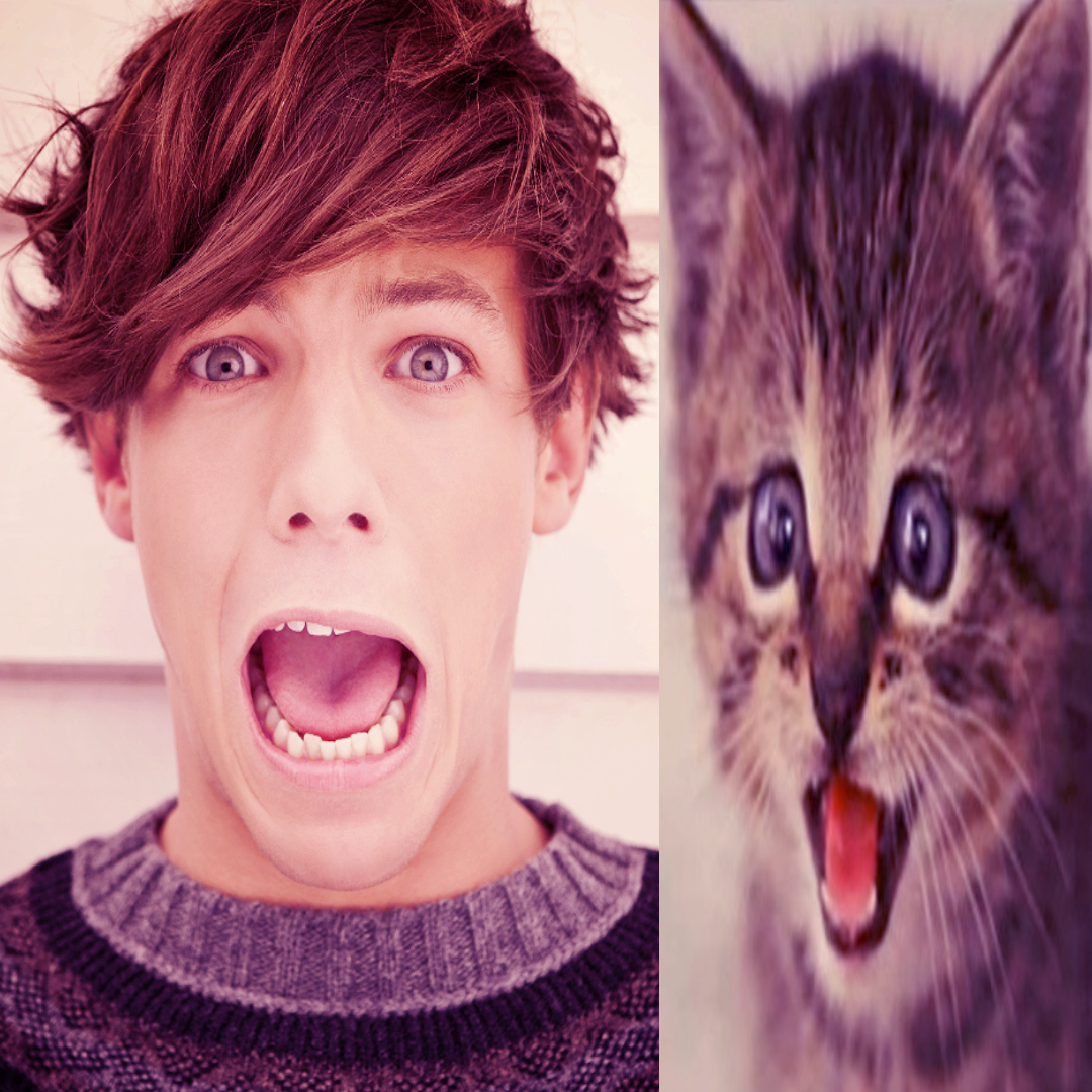 iwantursexpt2's tweet image. DO U GUYS LOVE THE,M #1direction plz follow me if u like 1d i have like no 1d oomfs