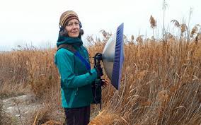 Quan  la brossa només sigui orgànica.  Volem saber què passarà. Ho estem preparant amb Rafi Cáceres <a href="/irtacat/">IRTA</a> Juan Arosemena <a href="/ICTA_UAB/">ICTA-UAB</a> Miki Royan <a href="/abonokm0/">Abonokm0</a> i JMVallés <a href="/TarpunaCoop/">TarpunaCoop</a> També <a href="/Rog_sole/">Roger Solé Guinart</a> i <a href="/irenecerverab/">irene cervera buisán</a> amb Eloisa Matheu Sons que curen. Demà 14h <a href="/Vida_Verda/">Vida Verda</a> <a href="/radio4_rne/">radio4_rne</a>