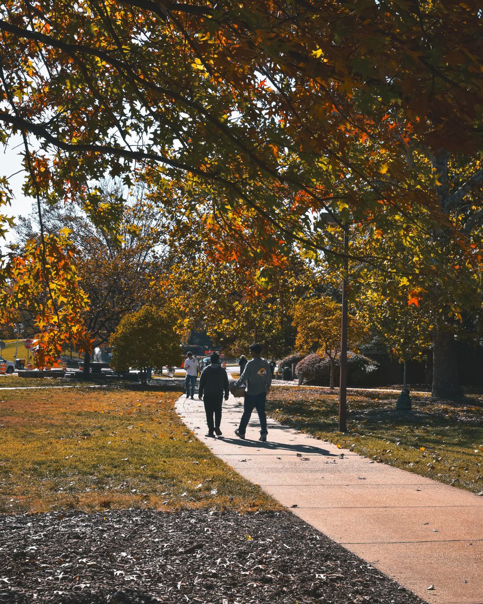 UMDscience's tweet photo. Looking around campus and thinking about how grateful we are for our #ScienceTerp community 💛 https://t.co/6BcD5Klzy3