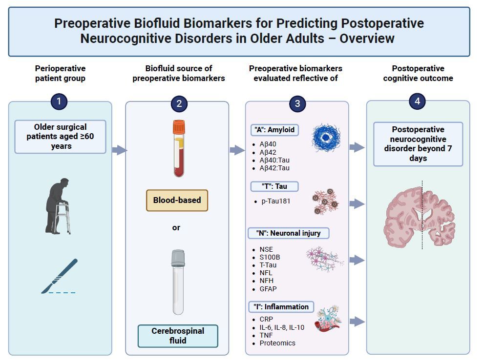 Preoperative biofluid biomarkers related to amyloid, tau, neuronal injury &amp; inflammatory pathology show promise in predicting #perioperative #neurocognitive disorders in older adults

<a href="/scottdav44/">David Scott</a>, <a href="/lisbethevered/">Lisbeth</a>, @_m_a_sim, #brendansilbert 

buff.ly/4i1gbJL