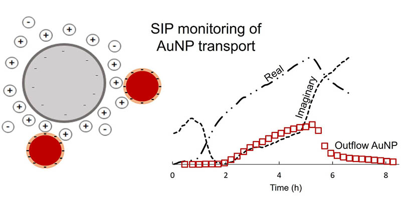 EnvSciTech's tweet image. In this ACS ES&amp;amp;T Water study, researchers at @TechnionLive explore the efficiency of #SpectralInducedPolarization (SIP) to monitor the transport and fate of citrate-coated #GoldNanoparticles (AuNPs) in soil. #Biosensing

Read: go.acs.org/bMY