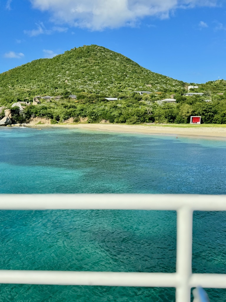 SpeedysBVI tweet media