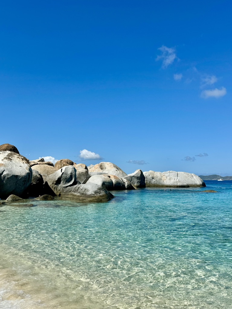 SpeedysBVI tweet media