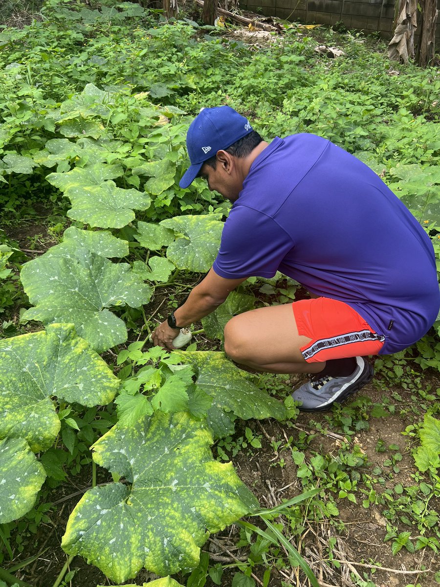 SERGIO MURILLO Mentes en Acción tweet media