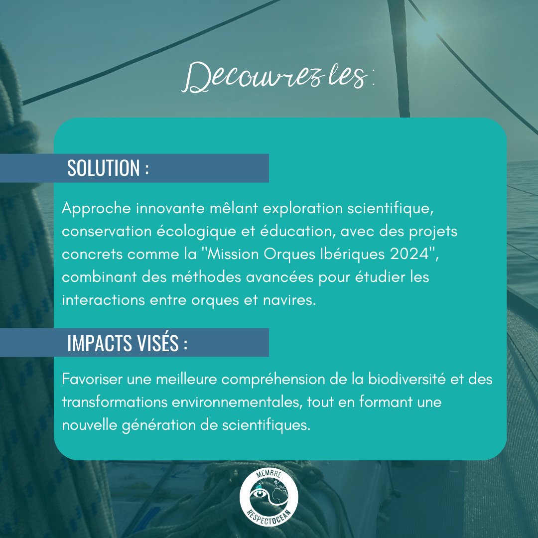 📣🌊[BIENVENUE] Nous sommes heureux d'accueillir un nouvel adhérent, Green Armada, une ONG dédiée à la promotion de l'étude de l'évolution de la biodiversité et à la conservation de l'environnement.

▶️ Découvrir Green Armada : respectocean.com/green-armada/