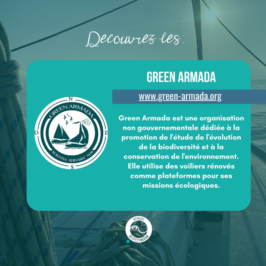 RespectOcean 🌊 tweet media