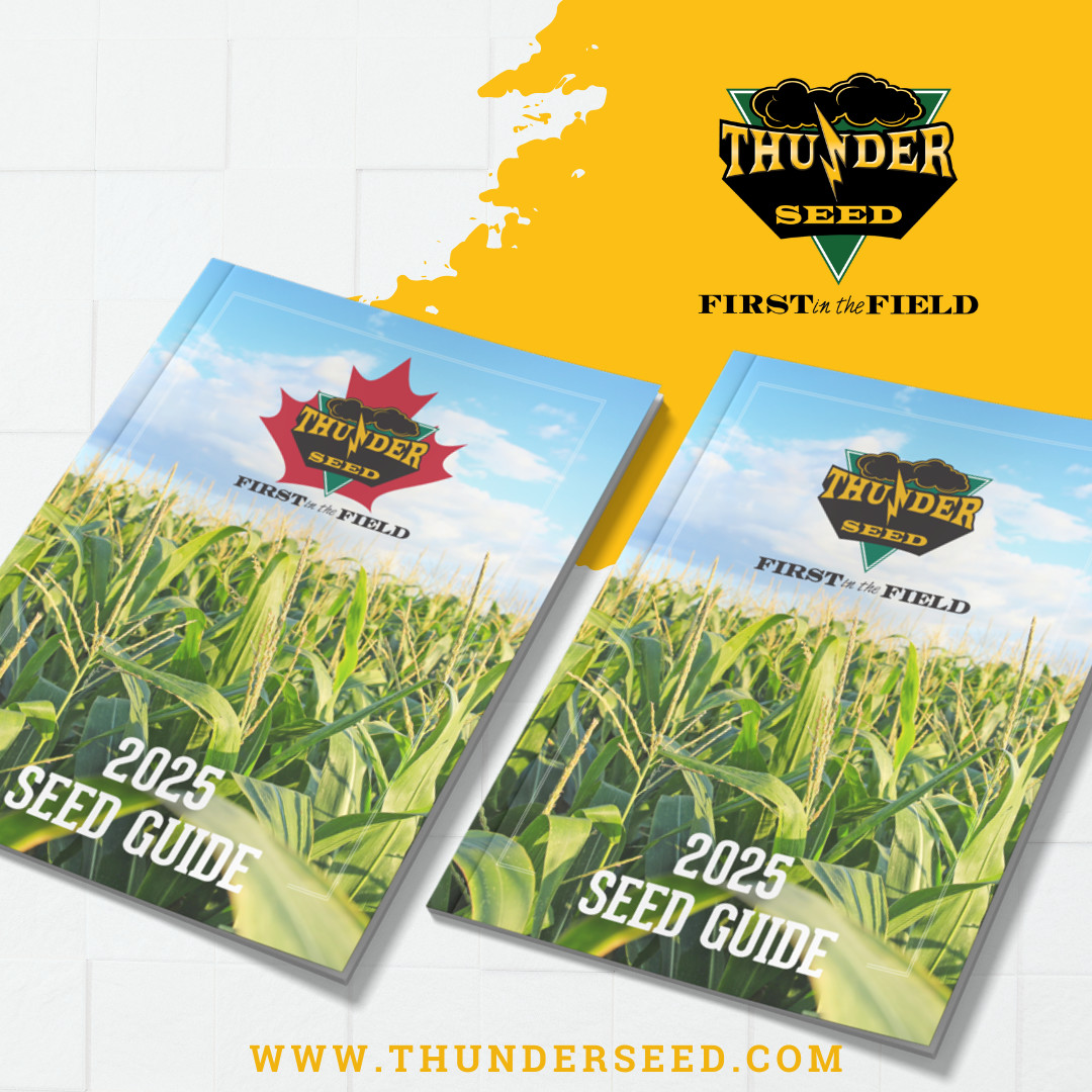 thunder_seed's tweet photo. Our new seed guides are live on our website. Check out our new products and start planning for next year. 

https://t.co/6C5hoTVILb

#plant25 #thunderseed #seed #seedguide #ag https://t.co/msjf9ZSnG8
