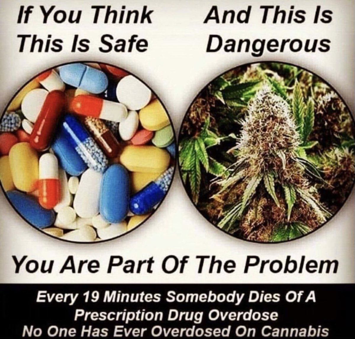 David Dinenberg tweet media